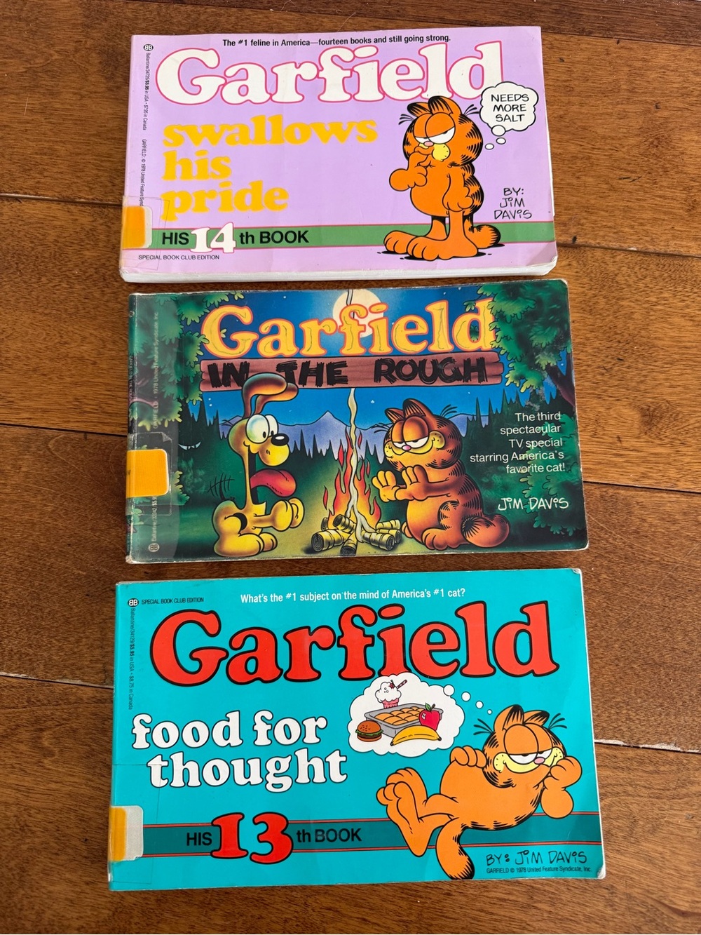 1978 Vintage Comic Book Set - Garfield Cartoon Collection